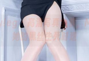 Beautyleg – 高清写真全景，Molly和她的黑丝生死时速