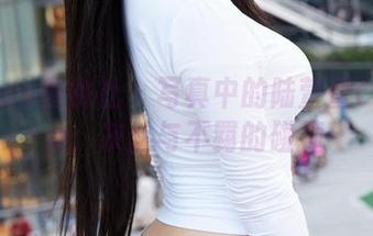 MiiTao蜜桃社 – 写真中的陆萱萱Cecilia：灰丝与不羁的碰撞