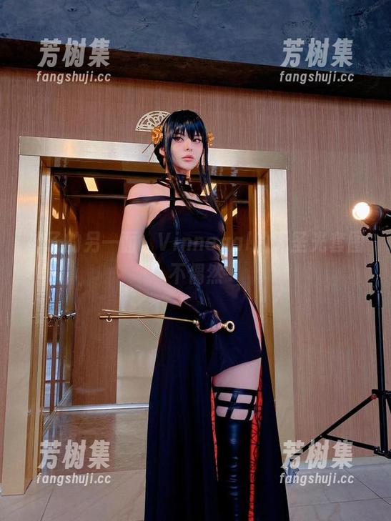 神子的另一面：Vinnegal的无圣光套图不偶然