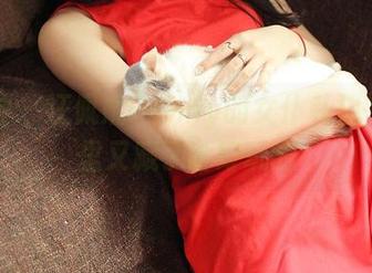 推女神 – 汪佩妮Penny的女仆私拍，套图里又藏了啥好玩的